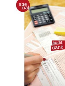 Audit - daně