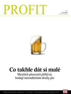 Profit 18.2.2013