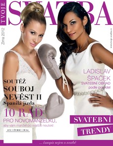 ts-blok-zima-2012-blok