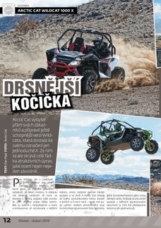 Arcitc Cat Wildcat 1000x