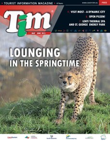 TIM LOUNGING IN THE SPRINGTIME