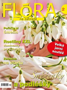 Flóra na zahradě 2/2013