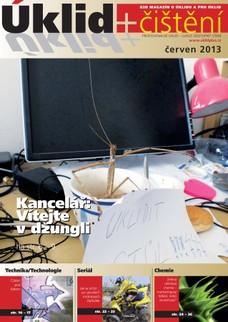 Úklid plus čištění červen 2013