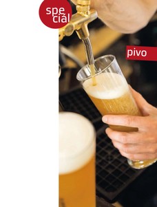 Pivo 29.7.2013