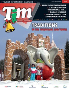 TIM - TRADITIONS IN THE MOUNTAINS AND TOWNS