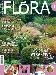 Flóra na zahradě 11/2013