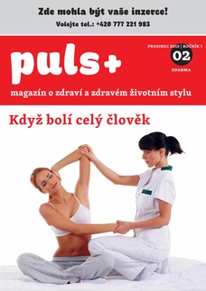 Puls 2/2013