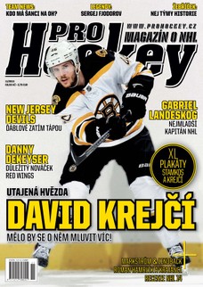 Pro Hockey 11/2013