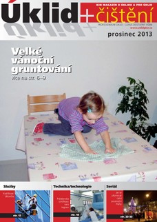 Úklid plus čištění prosinec 2013