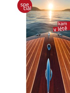 Kam v létě 6.3.2014