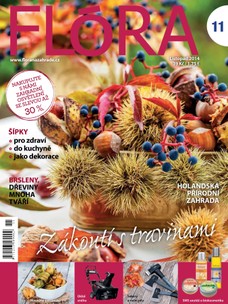 Flóra na zahradě 11/2014