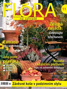 Flóra na zahradě 11/2010