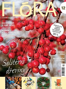 Flóra na zahradě 12/2014