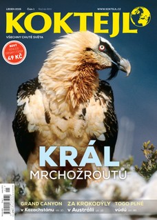 Koktejl 1/2015