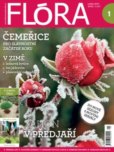 Flóra na zahradě 1/2015