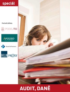 Audit, daně 23.2.2015