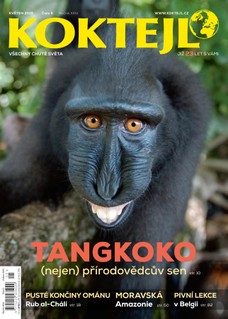 Koktejl 5/2015