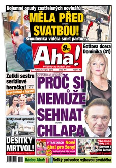 AHA! - 28.8.2015