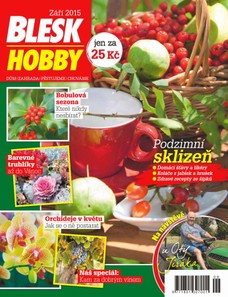 Blesk Hobby - 09/2015