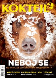 Koktejl 12/2015