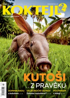 Koktejl 1/2016