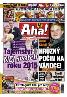 AHA! - 30.12.2015