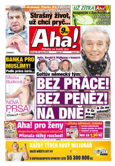 AHA! - 20.1.2016