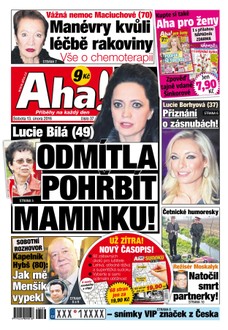 AHA! - 13.2.2016