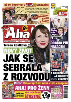 AHA! - 29.3.2016