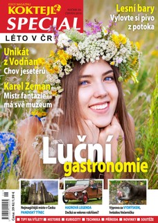 Special Léto v ČR 2016