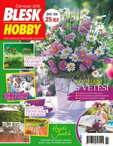 Blesk Hobby - 07/2016