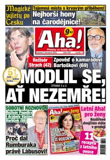 AHA! - 9.7.2016