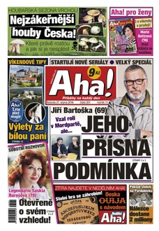 AHA! - 27.8.2016