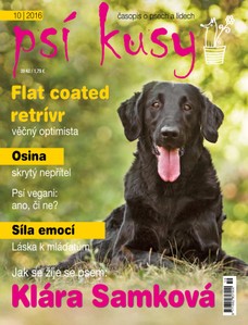 Psí Kusy 10/2016