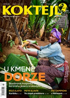 Koktejl 5/2017