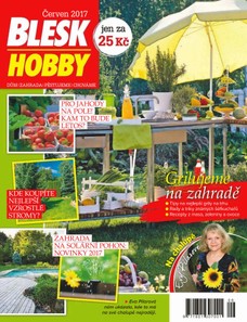 Blesk Hobby - 06/2017