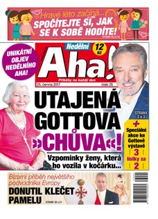 Nedělní AHA! - 25.6.2017