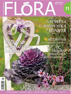 Flóra 11-2017