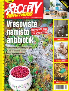 Recepty prima nápadů 11/2017