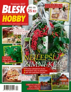 Blesk Hobby - 12/2017