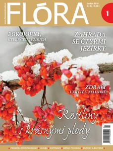 Flóra 1-2018