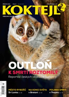 Koktejl 3/2018
