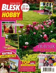 Blesk Hobby - 04/2018