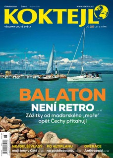 Koktejl 6/2018