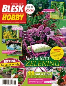 Blesk Hobby - 06/2018