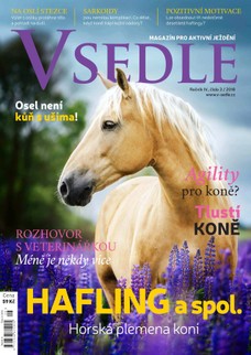 V sedle 3/2018