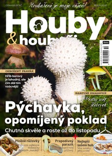 Houby a houbaři 10/2018