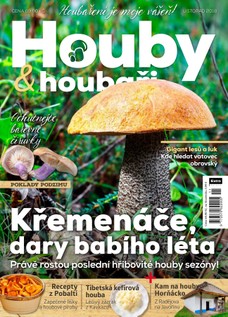 Houby a houbaři 11/2018