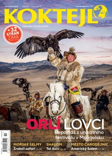 Koktejl 11/2018