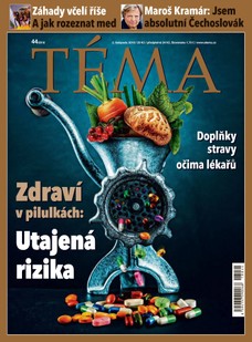 TÉMA DNES - 2.11.2018